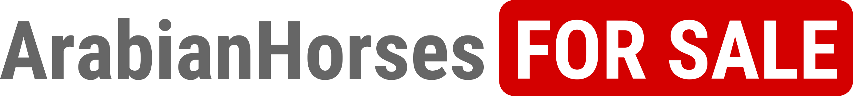 Arabian Horses For Sale - logo